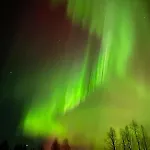 Metsäkimara Kittilä
