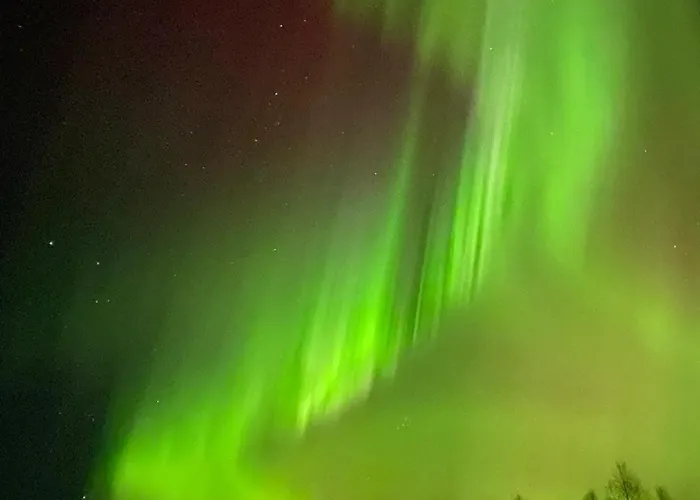 Metsaekimara Kittilä